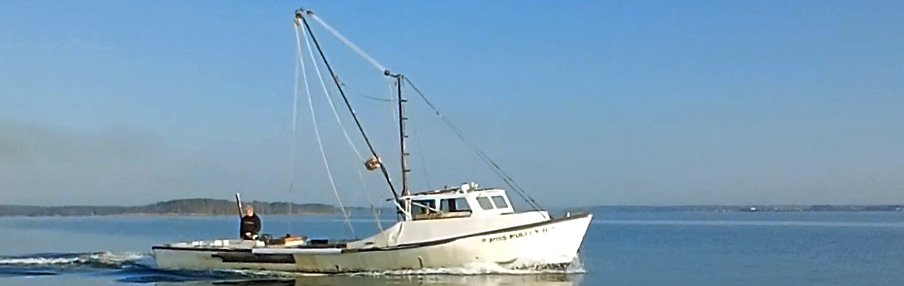 Nelson Seafood crew and vessel image