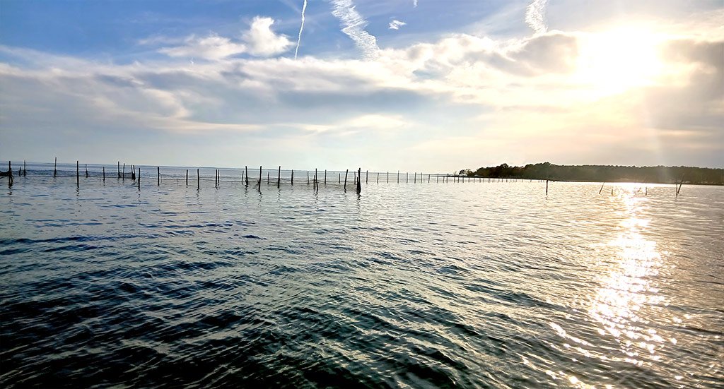 Storied Seafood tells where it came from