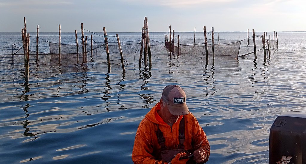 Local Seafood Commercial Fisherman mending net. This is Storied Seafood